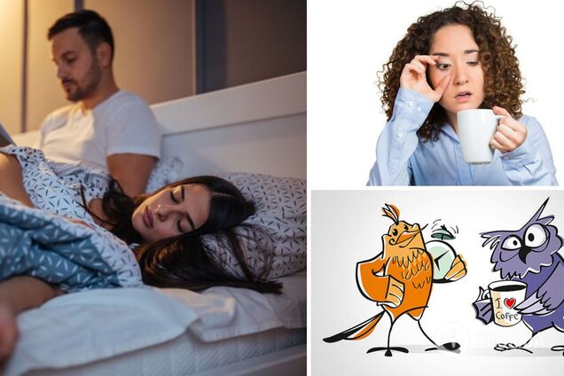 Хто живе довше – 'сови' чи 'жайворонки'? Вчені дали однозначну відповідь