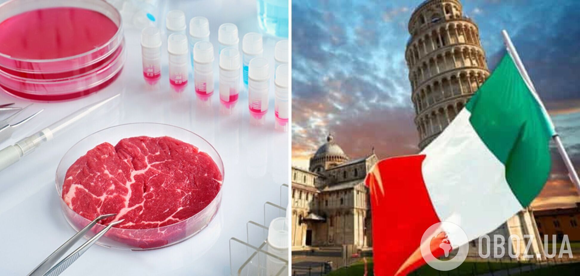 Перша у Європі: Італія забороняє синтетичну їжу