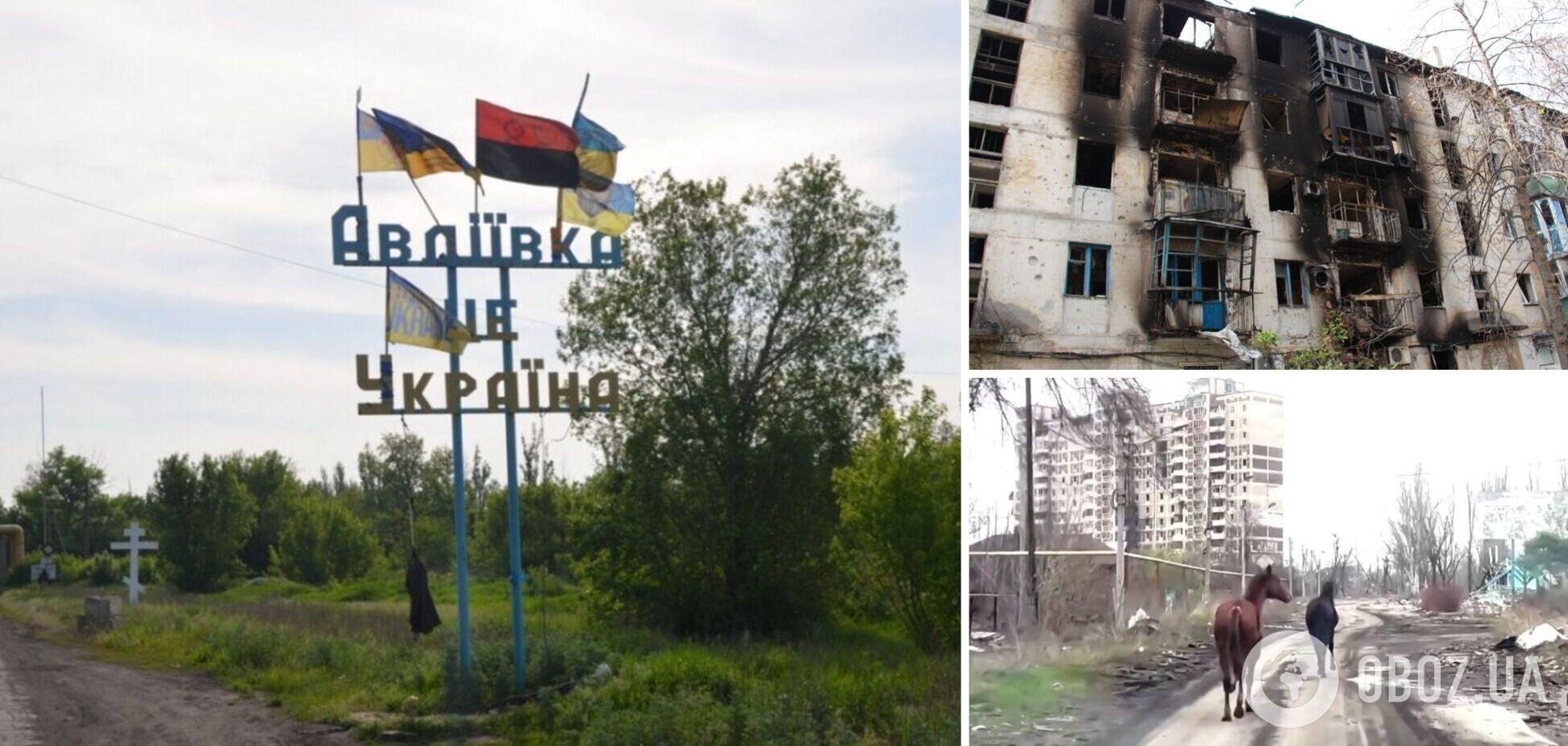 Из Авдеевки под обстрелами вывели двух одичавших лошадей: детали и видео невероятной истории