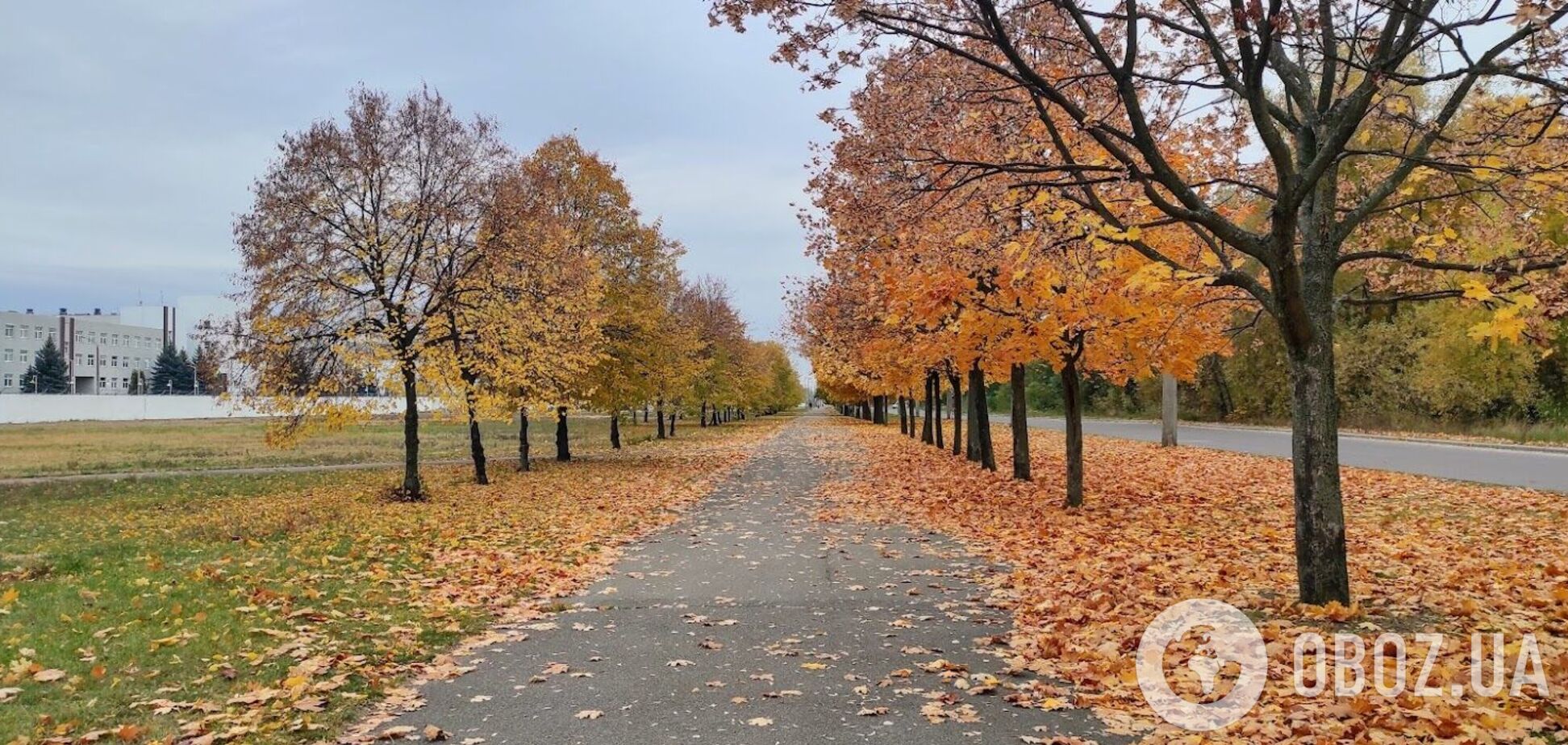 Синоптики прогнозируют облачность в регионе