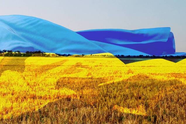 День работников сельского хозяйства: аграрии, производители и бизнесы рассказывают об особенностях и вызовах в украинской агросфере