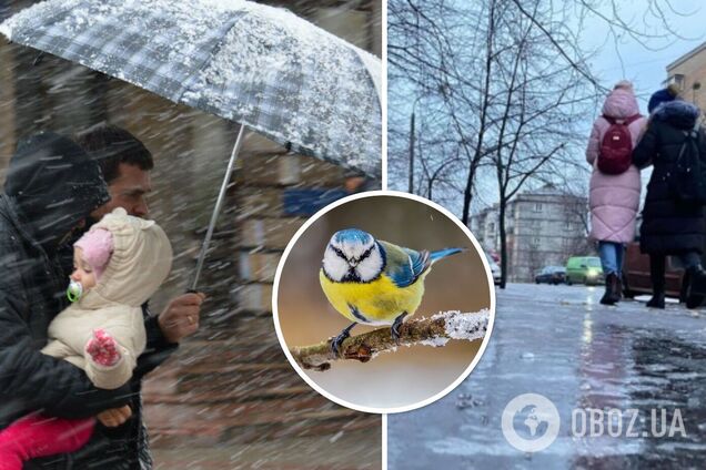 Штормовое предупреждение в Украине