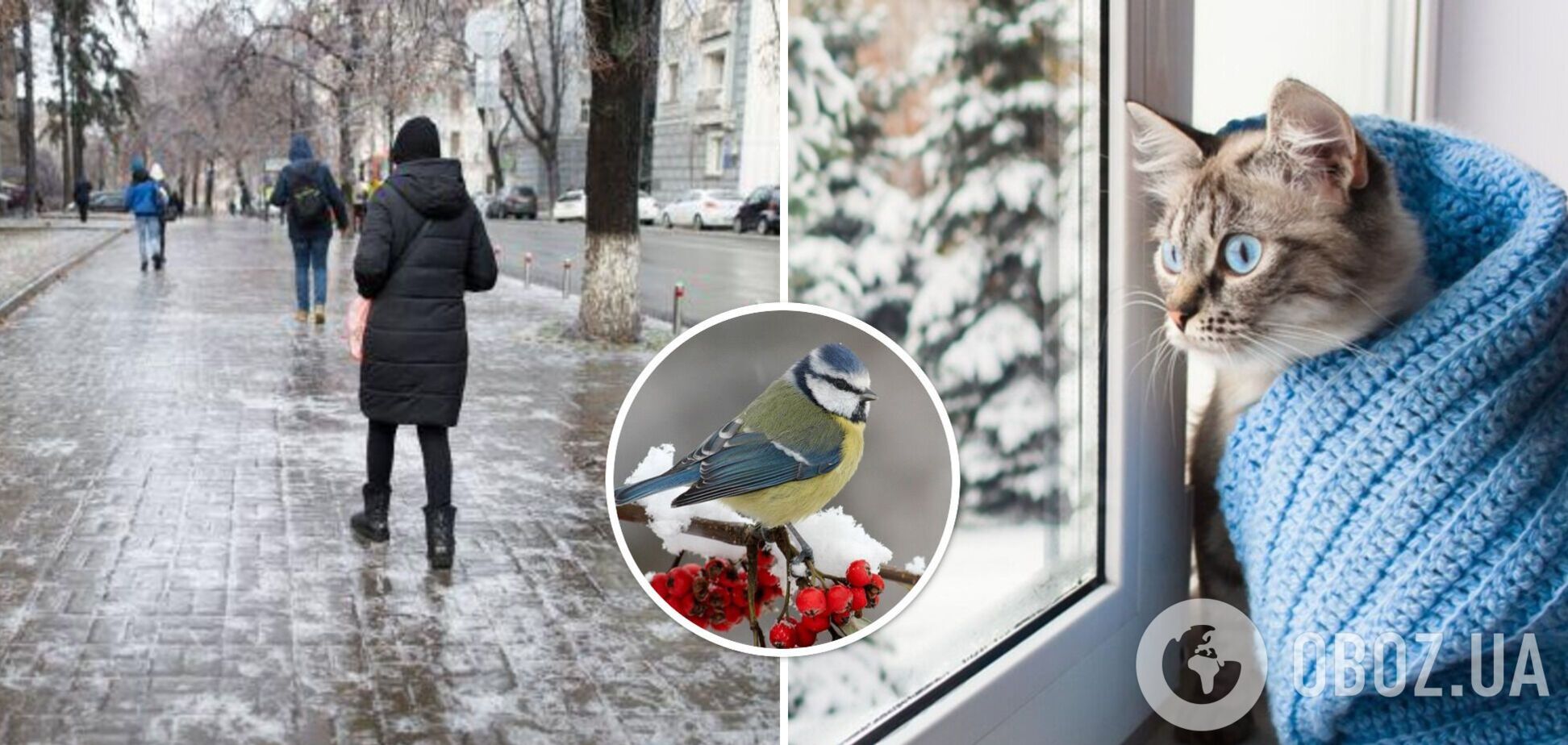 Снег и до 11 градусов мороза: синоптики дали прогноз погоды на среду, 22 ноября