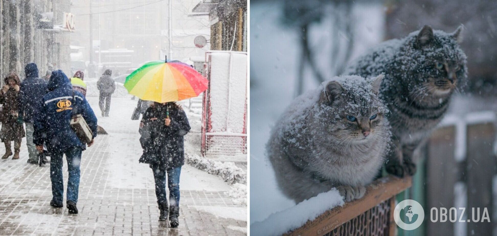 Украину снова станет засыпать снегом: синоптики дали прогноз и предупредили об опасности на дорогах. Карта