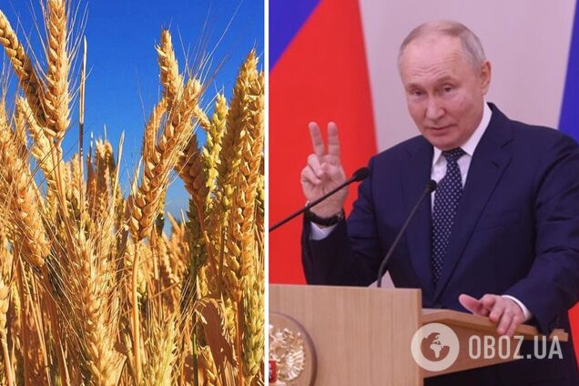 Российские удары по Одессе вызвали рост цен на пшеницу на мировых рынках