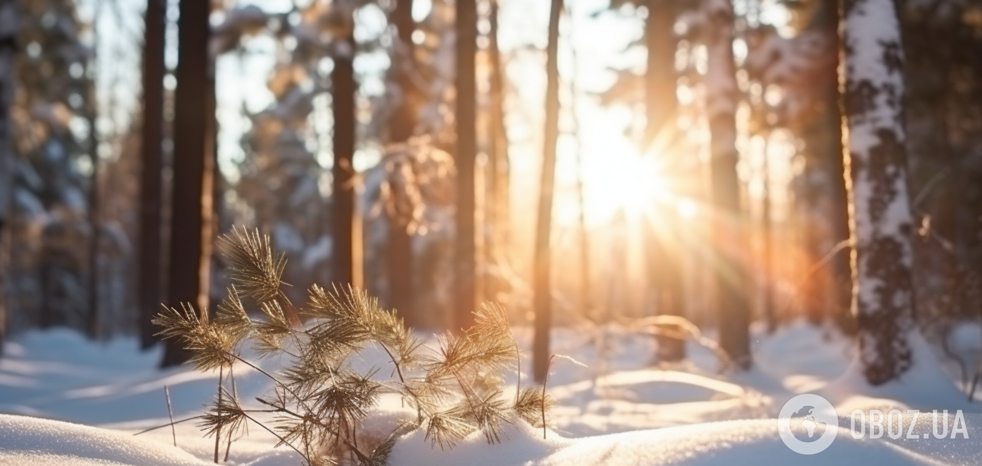 Самый короткий день: когда в 2023 году будет зимнее солнцестояние