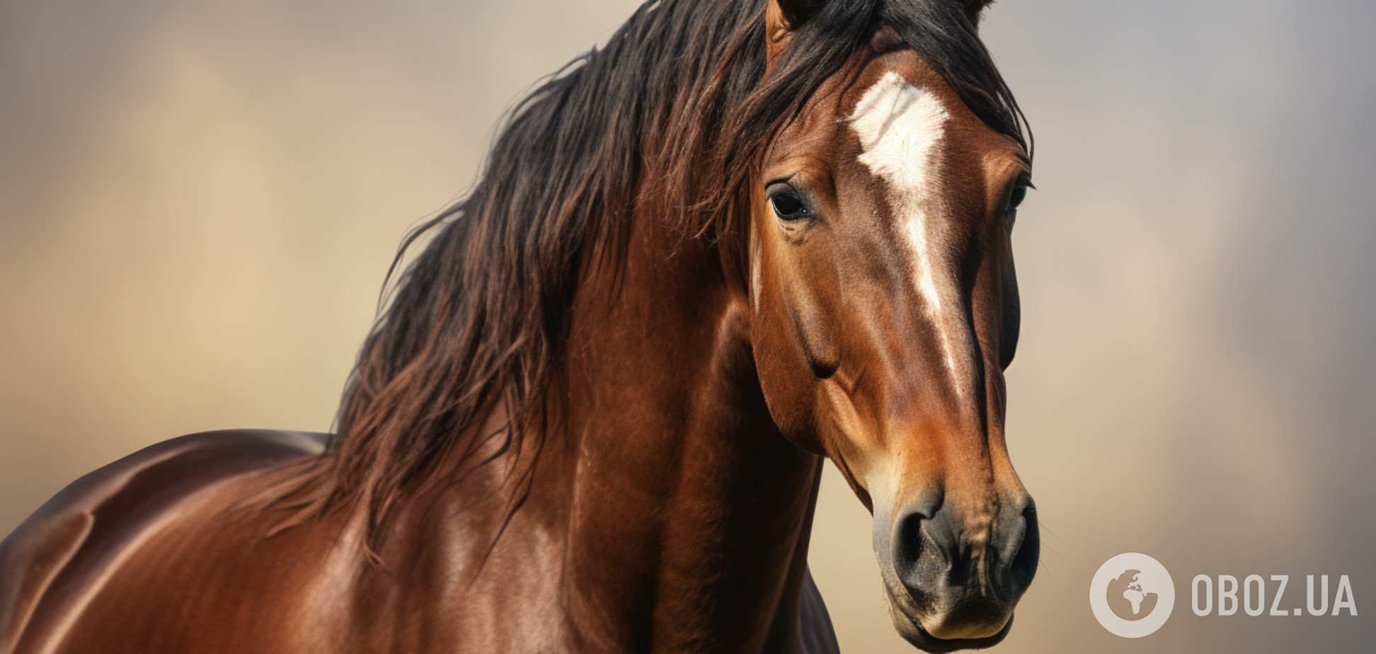 Чубарый и буланый: что означают украинские слова, описывающие лошадей