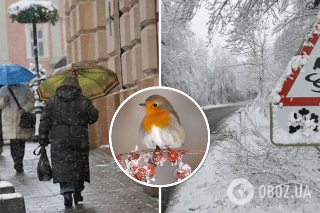Чи припиняться снігопади в Україні найближчими днями: прогноз синоптиків. Карта