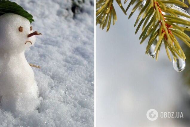 Туманы и периодические осадки: синоптик дала прогноз на понедельник и объяснила, сколько продлится оттепель