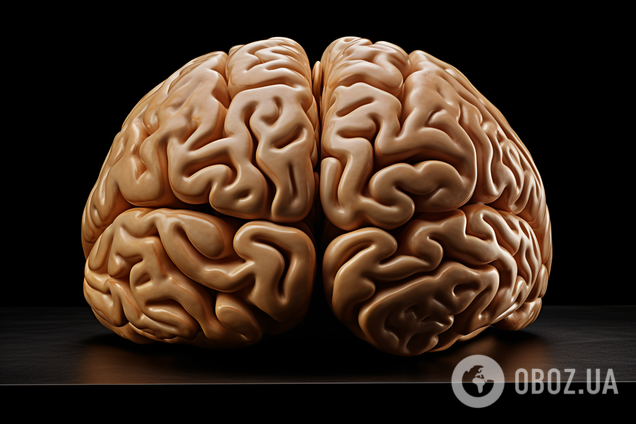 Чому наш мозок 'стирає' спогади з дитинства: наукове пояснення