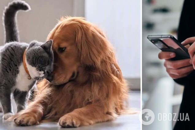 В Украине запускают Единый государственный реестр домашних животных: что нужно знать всем зоовладельцам