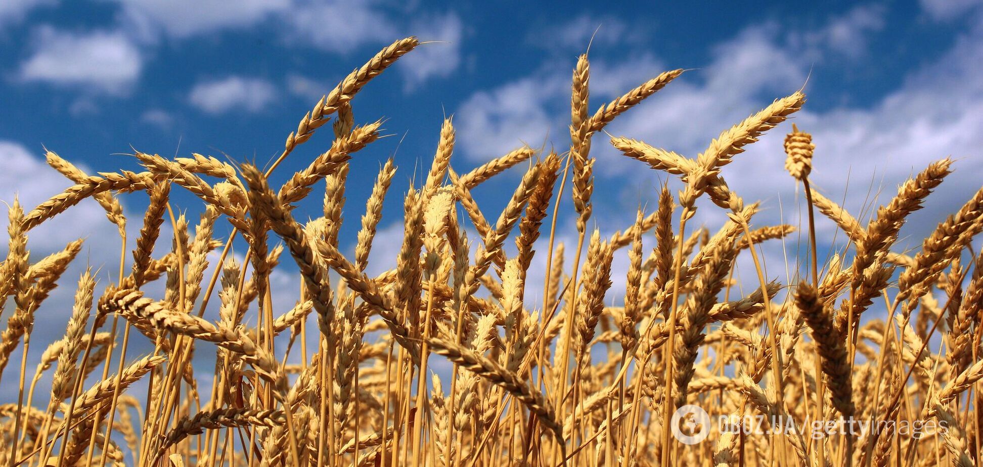 Кому війна, а кому українська земля: чи буде з 1 січня 2024 року відкрито земельний фронт в Україні?