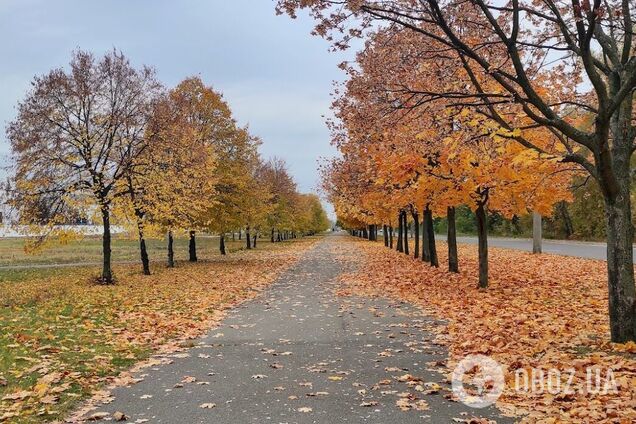 Синоптики не прогнозируют существенных осадков в регионе