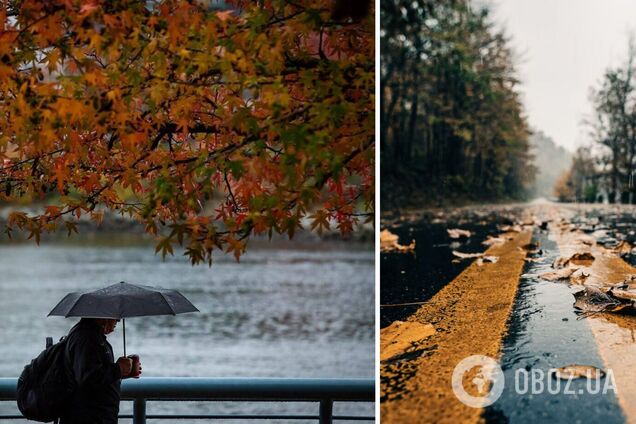 Умеренные дожди и незначительное похолодание: синоптики дали прогноз погоды на четверг, 9 ноября.