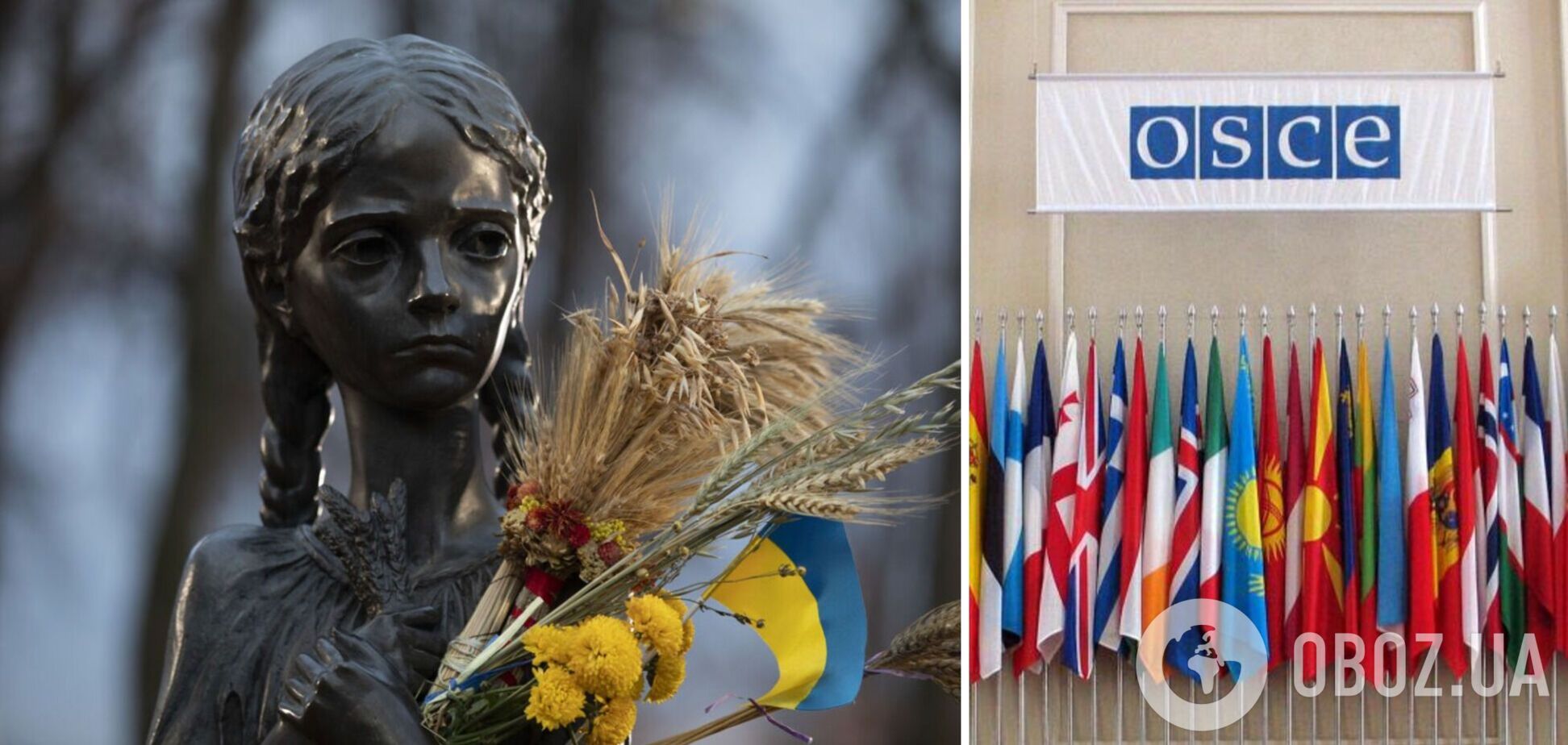 'Москва пытается повторить прошлое': 43 страны подписали совместное заявление к 90-й годовщине Голодомора в Украине