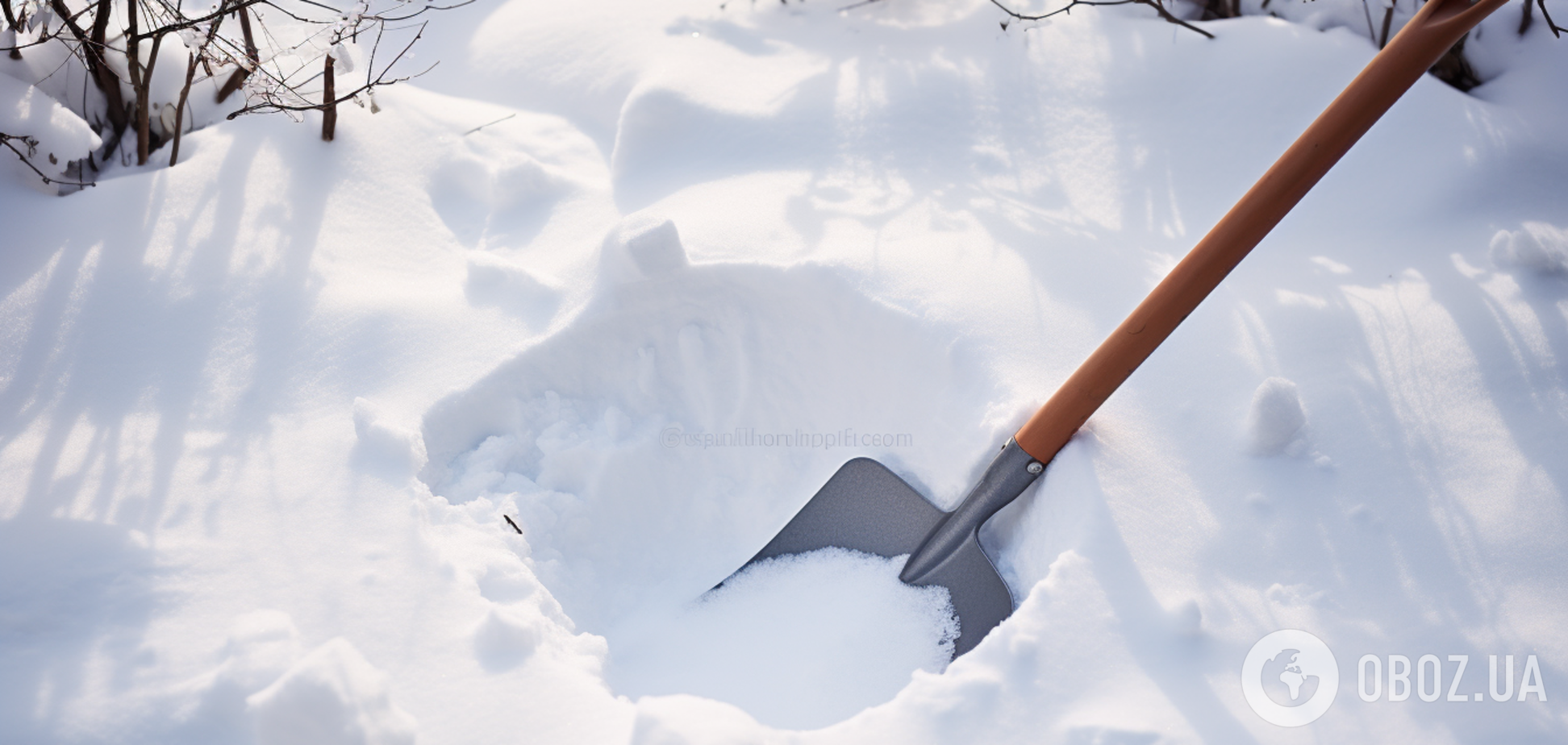 Что можно посадить даже по снегу: правила подзимнего посева