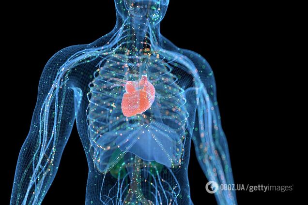 Вчені розробили технологію 3D-друку всередині людського тіла: як це працює