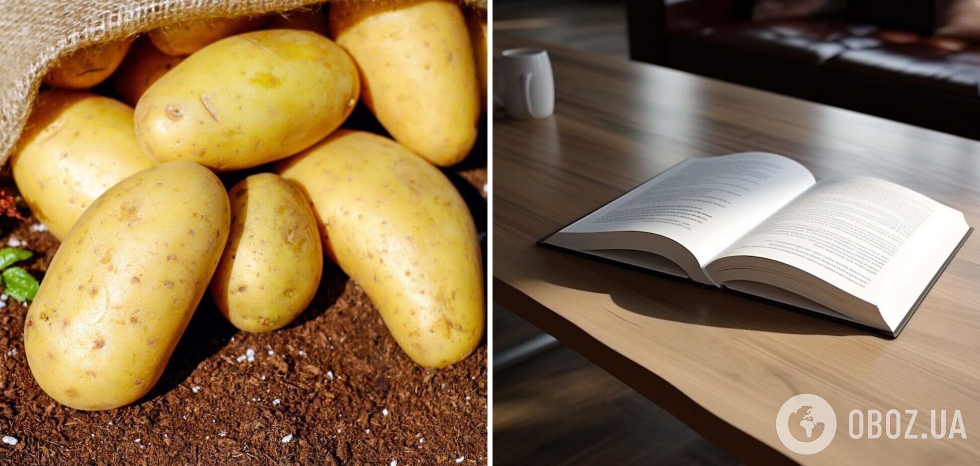 Як картоплю називають у різних областях України: деякі варіанти здивують