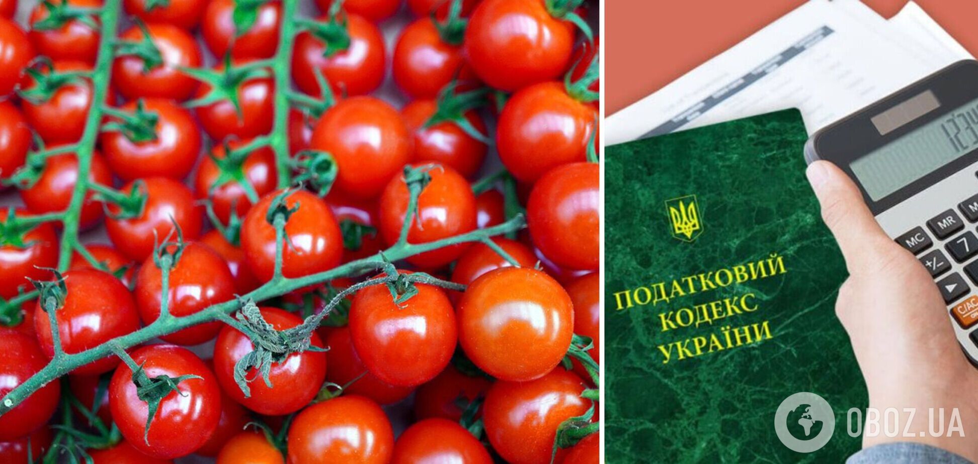 Українські компанії ухиляються від податків на мільярди гривень