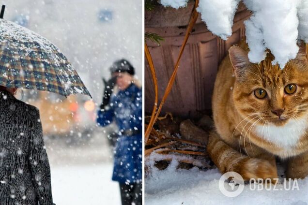 Невеликий мокрий сніг та дощ: синоптики дали прогноз погоди на неділю, 17 грудня