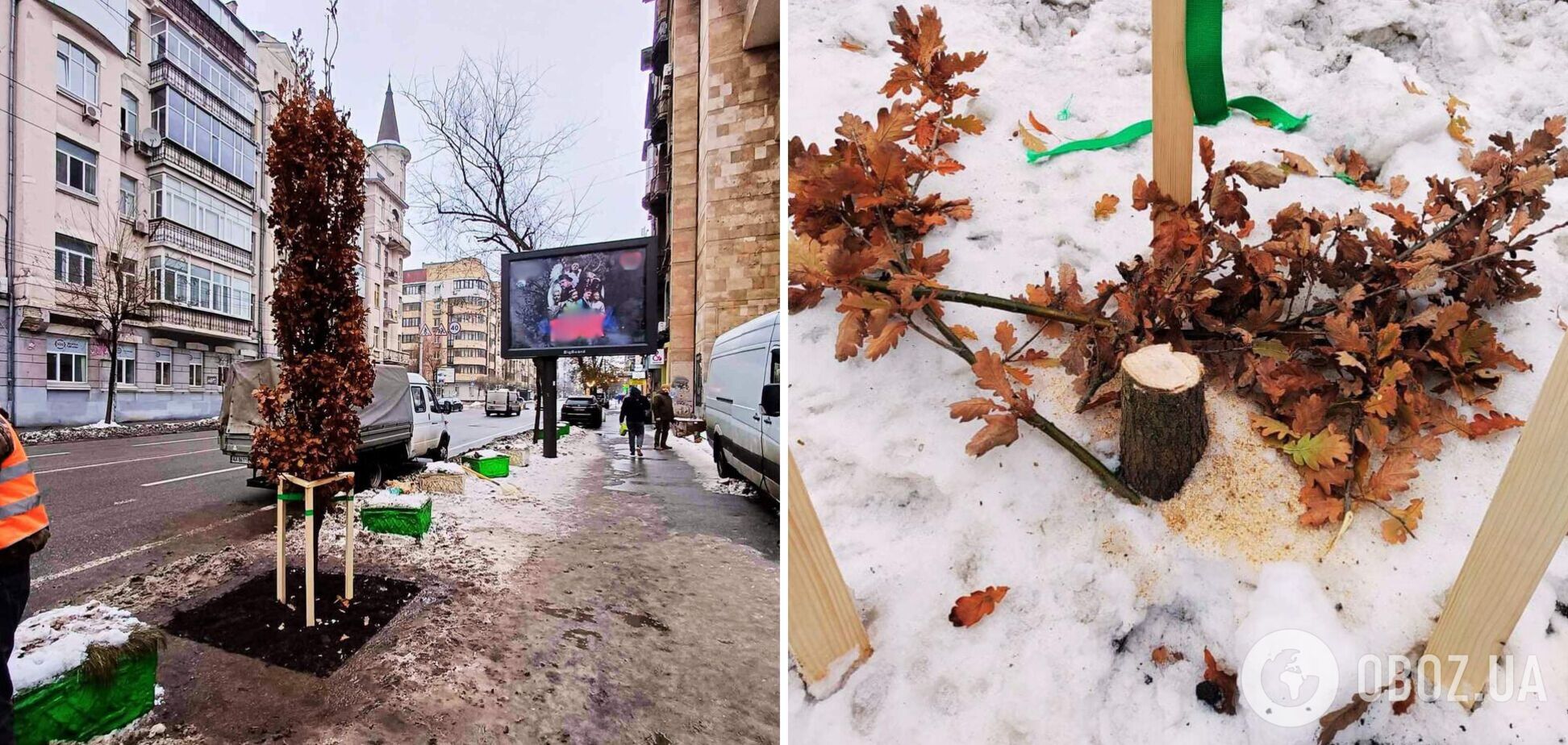 Должен был стать напоминанием о цене свободы: в Киеве неизвестные уничтожили дуб, посаженный в память о погибшем Романе Ратушном. Фото