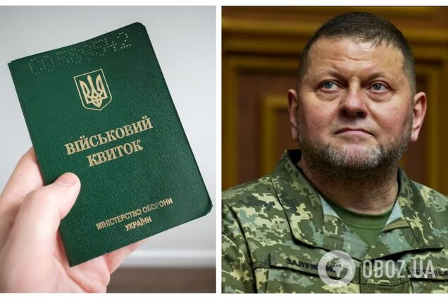 'Нужно не усиливать, а вернуть в те пределы, как работало раньше': Залужный высказался о мобилизации в Украине