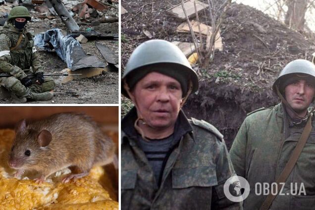 На Куп’янському напрямку окупантів масово косить 'мишача лихоманка': у ГУР розповіли про великі проблеми ворога