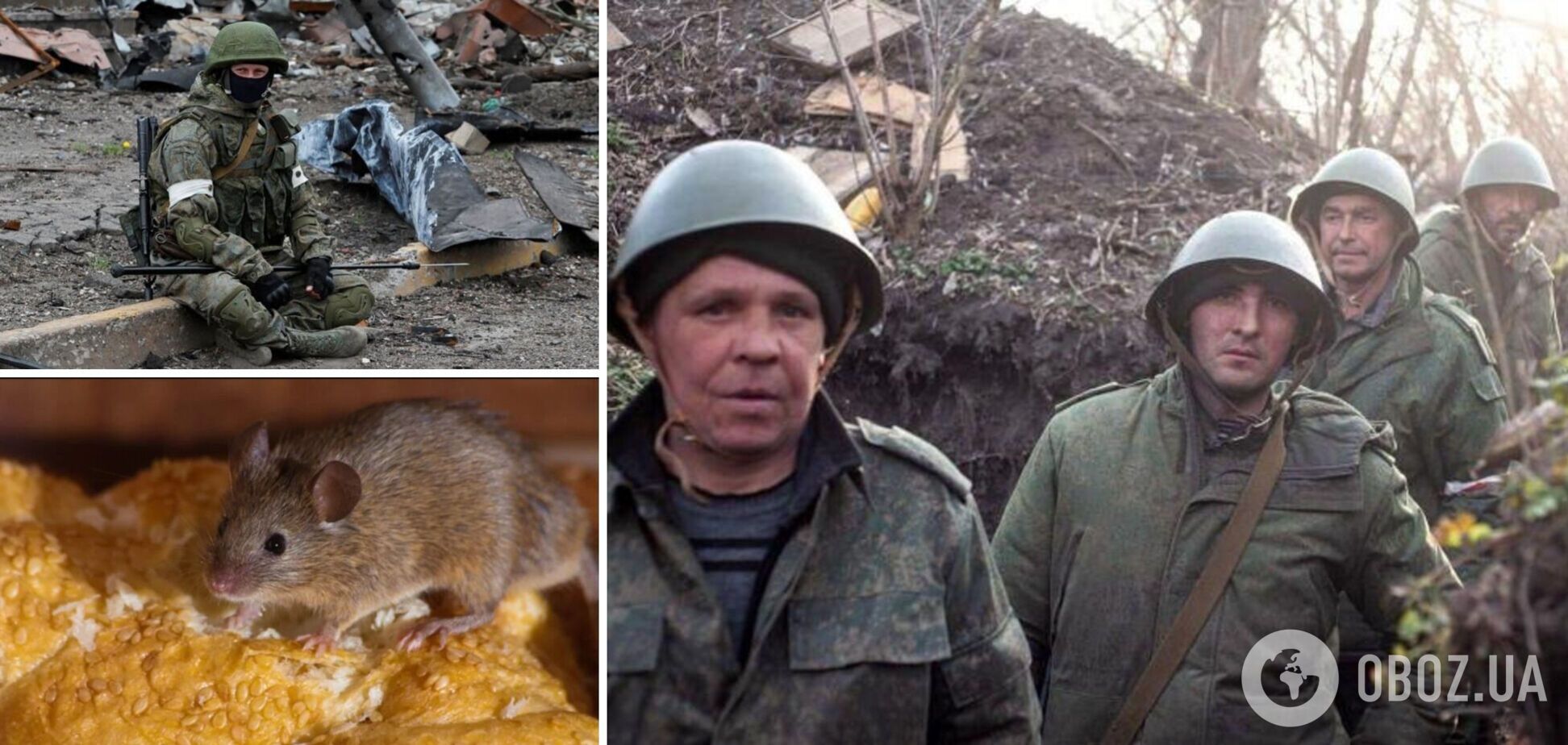 На Куп’янському напрямку окупантів масово косить 'мишача лихоманка': у ГУР розповіли про великі проблеми ворога