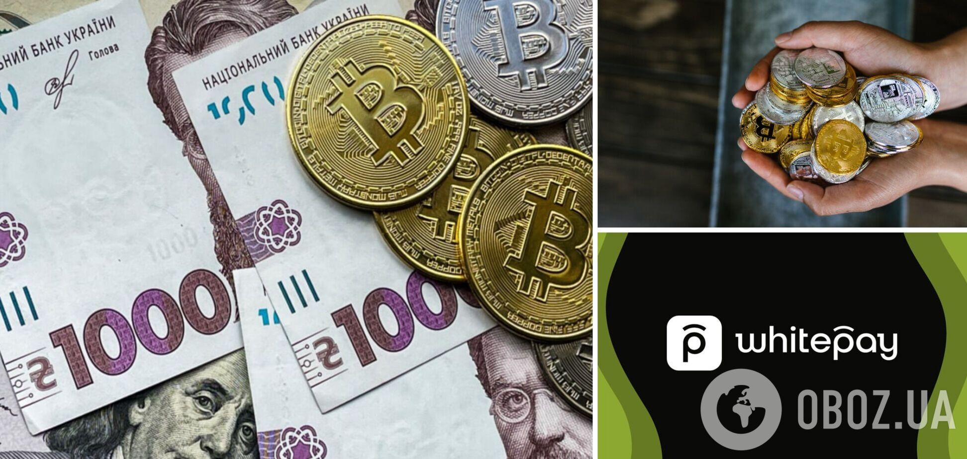 Благотворительность с криптосервисом Whitepay стала легче – в 2023 году задонатили полмиллиона долларов