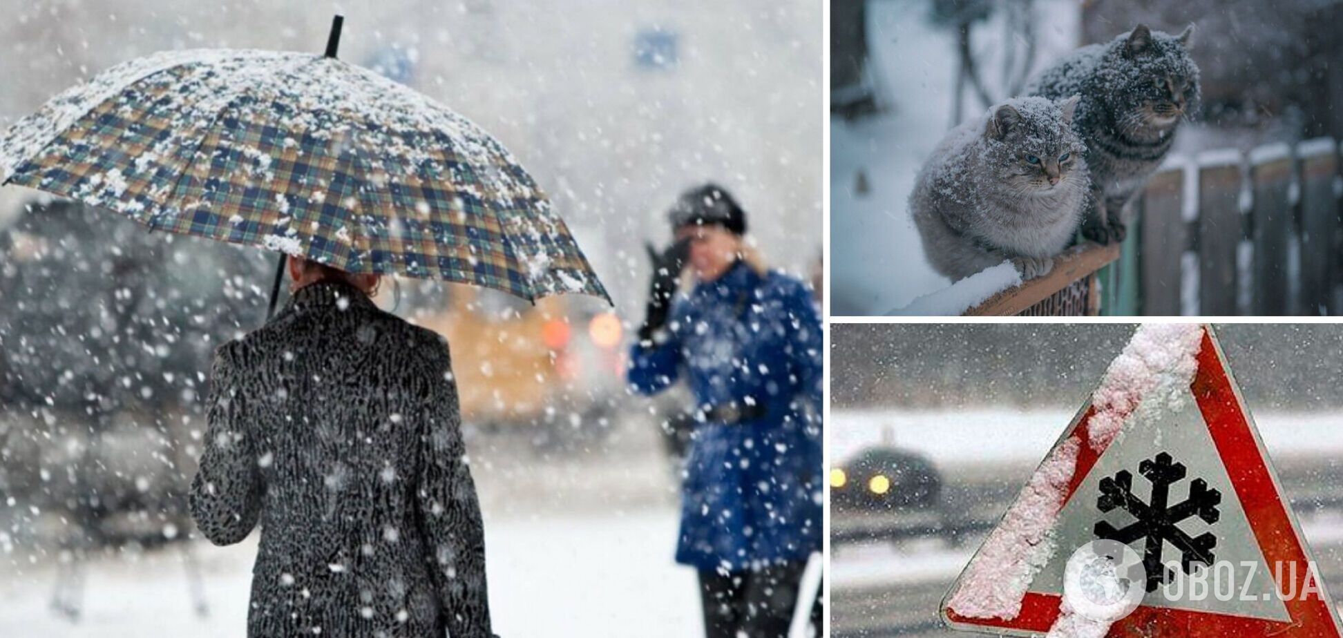 Мокрий сніг та ожеледь: синоптики дали прогноз погоди на неділю, 3 грудня