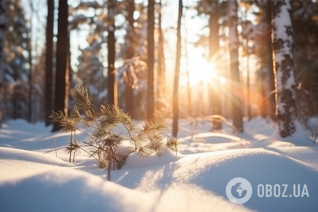 Зимове сонцестояння: скільки триватимуть день і ніч в Україні