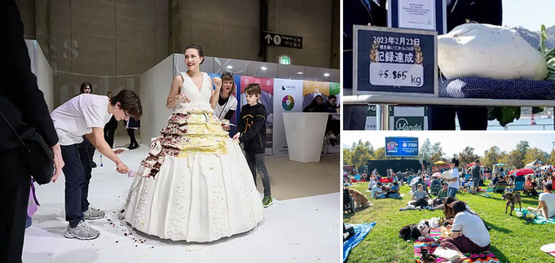 Найдивовижніші світові рекорди 2023 року: від їстівної весільної сукні до найдовшого підводного поцілунку. Фото і відео