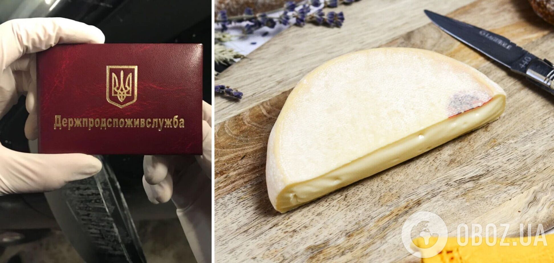 Сыр со стафилококком не попал в Украину
