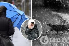 Прогноз погоды на пятницу