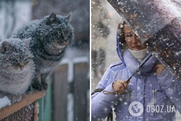 В Украину ворвалось похолодание, в Одесской области пошел снег. Фото и видео