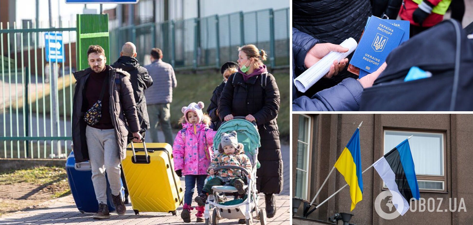В Естонії заявили про готовність видати Україні чоловіків, які підлягають мобілізації