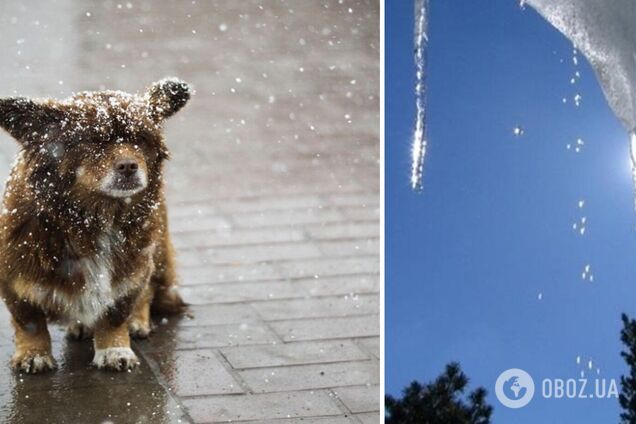 Сильные порывы ветра и до 13 градусов тепла: синоптики дали прогноз погоды на среду, 27 декабря
