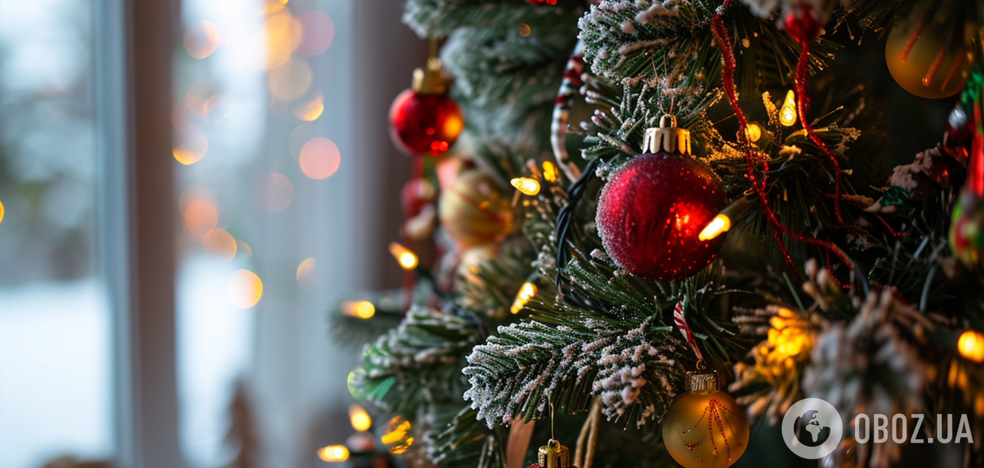 Як обрати найкращу ялинку на Новий рік: плюси і мінуси натуральних і штучних дерев