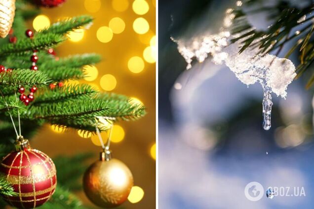 Потеплеет до 12 градусов, но не повсюду: синоптики дали прогноз погоды на субботу, 30 декабря