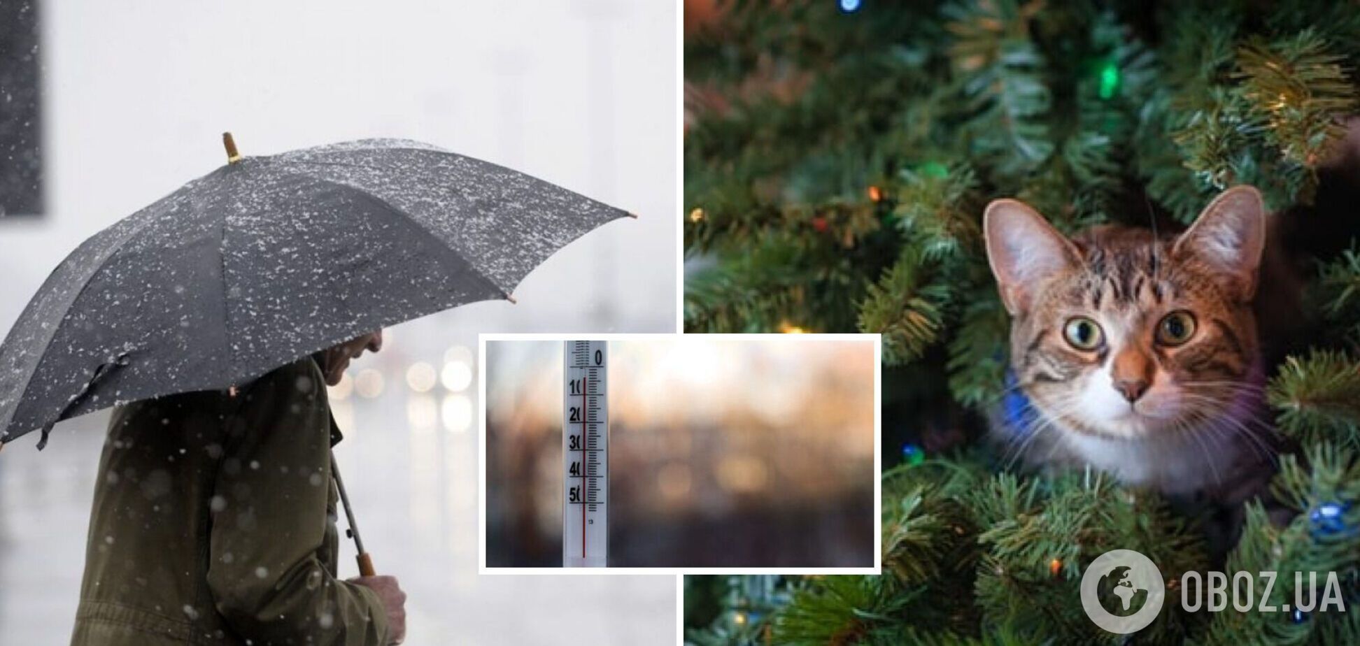 В Україну на Новий рік ввірветься тепло до +12, але є нюанс: синоптики дали прогноз. Карта