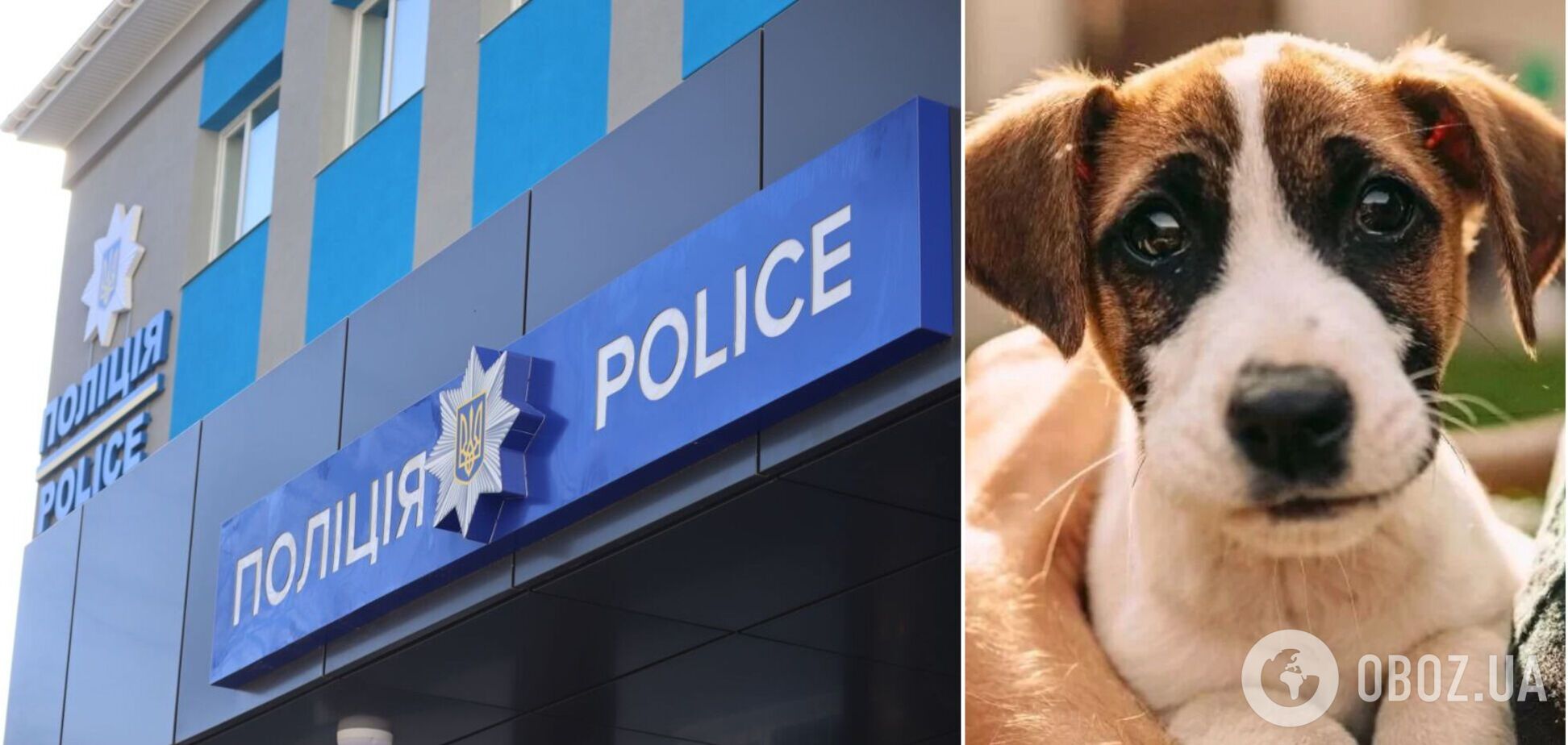 Полиция расследует факт жестокого продления с животным