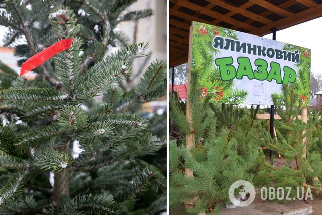 Киян закликали купувати ялинки тільки в офіційних точках