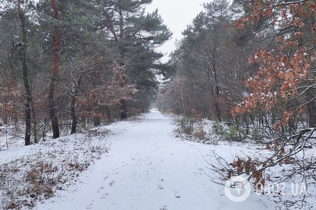 Синоптики прогнозируют облачную погоду с прояснениями