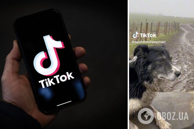 111 млн переглядів: TikTok показав найпопулярніші відео 2023 року