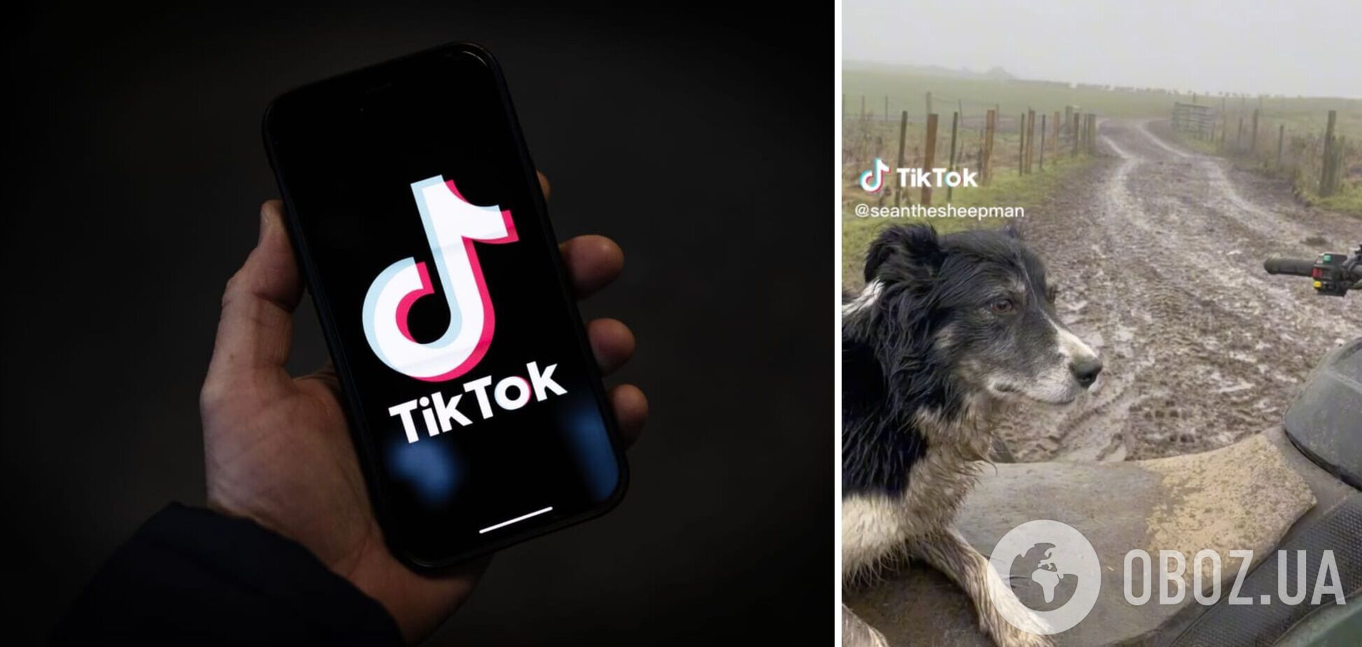 111 млн просмотров: TikTok показал самые популярные видео 2023 года