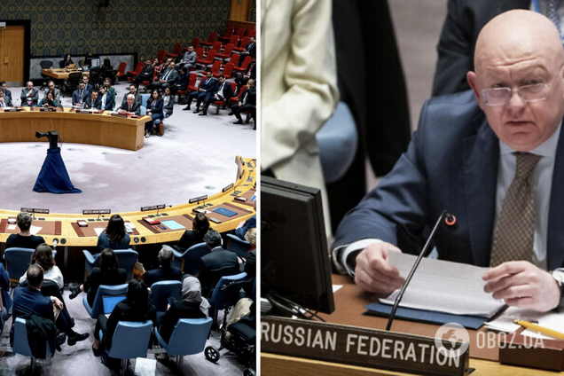 Россия хочет созвать Совбез ООН, чтобы поговорить о Майдане и поплакаться из-за помощи Запада Украине