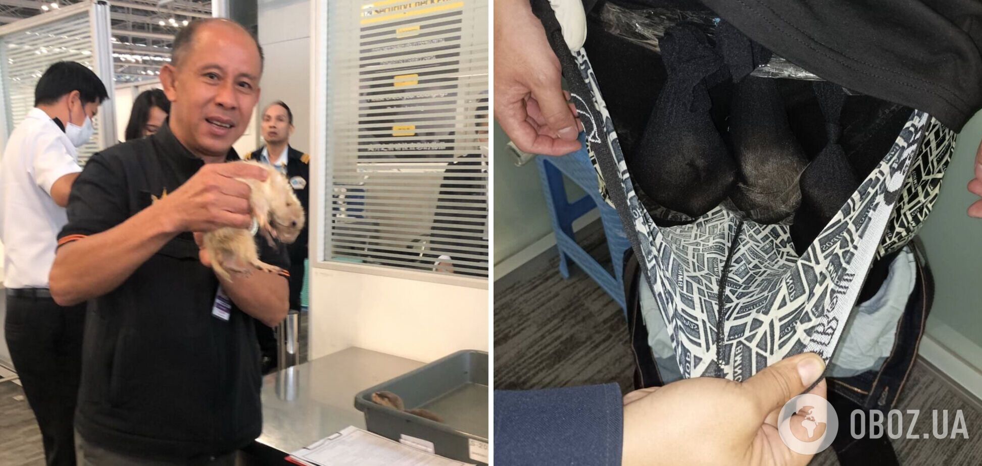 В аэропорту Таиланда задержали туриста, пытавшегося пронести в трусах выдр и луговую собачку. Фото
