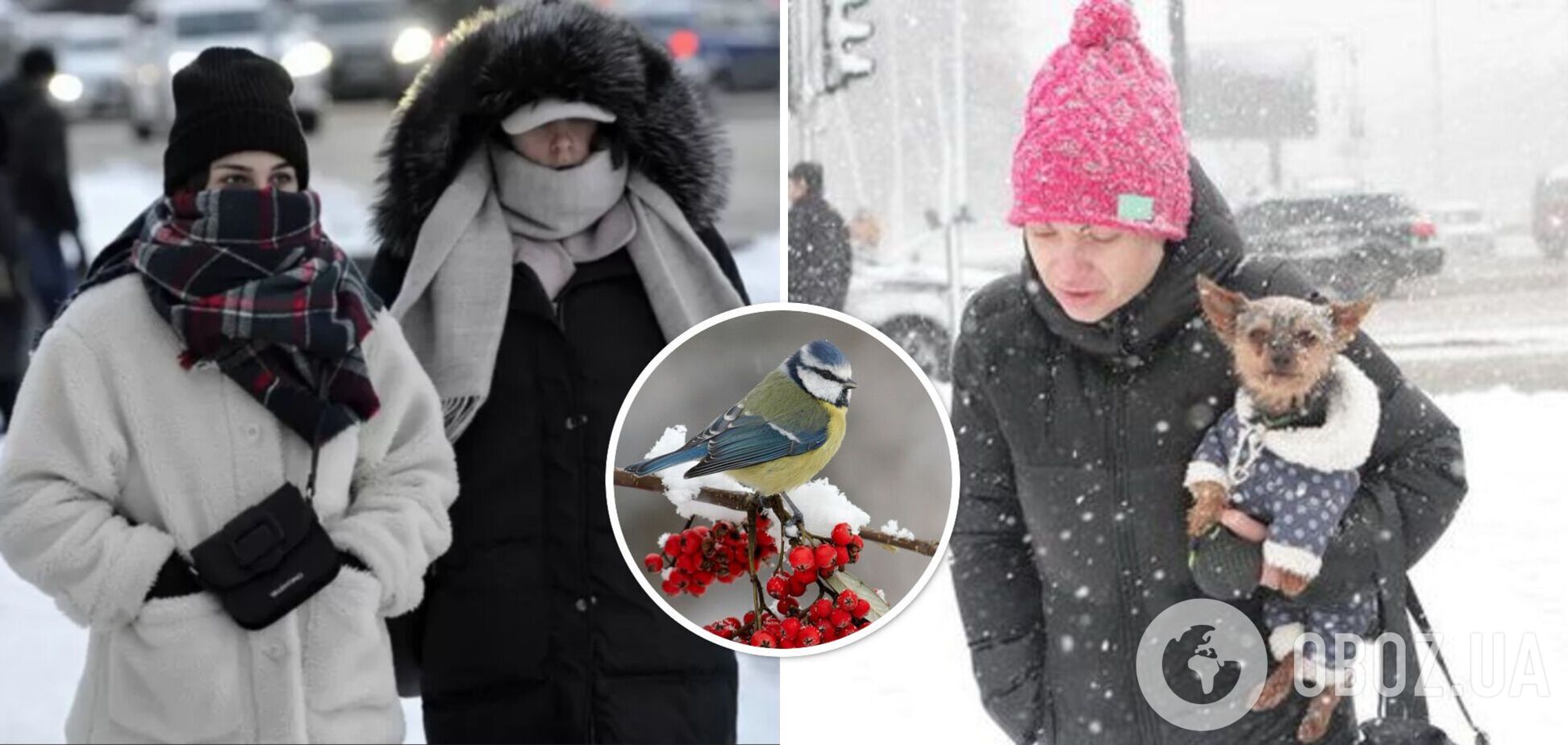 В Украину идет существенное похолодание: синоптики рассказали, чего ждать от погоды в ближайшие дни