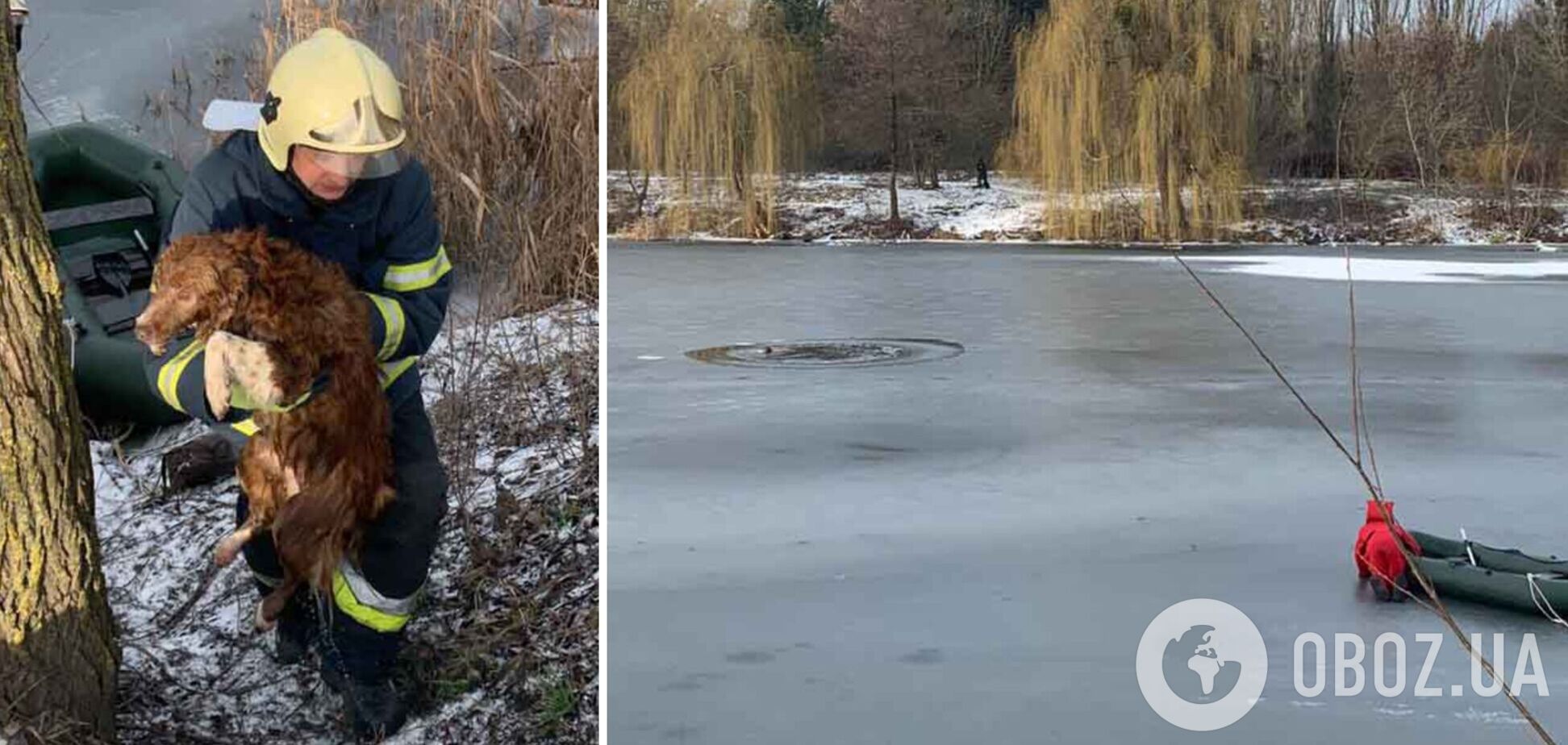 Пес опинився в ополонці