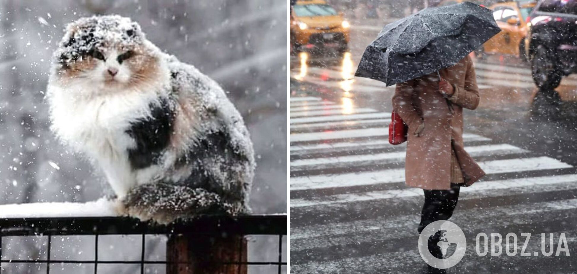 В Україну насувається мокрий сніг